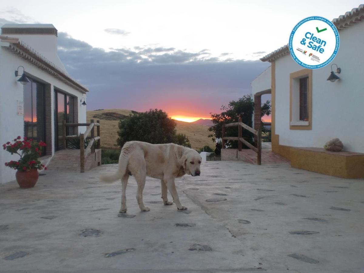 Horta Da Quinta Pension Mértola Buitenkant foto