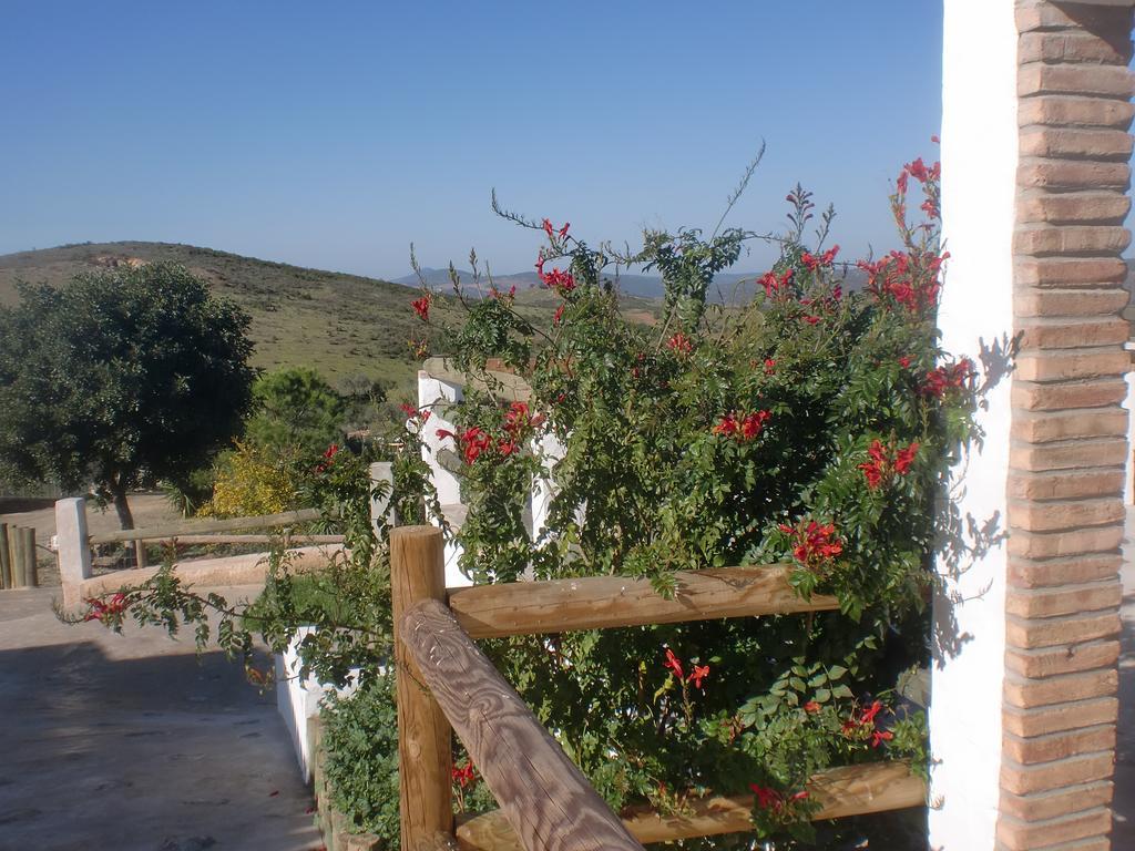Horta Da Quinta Pension Mértola Buitenkant foto