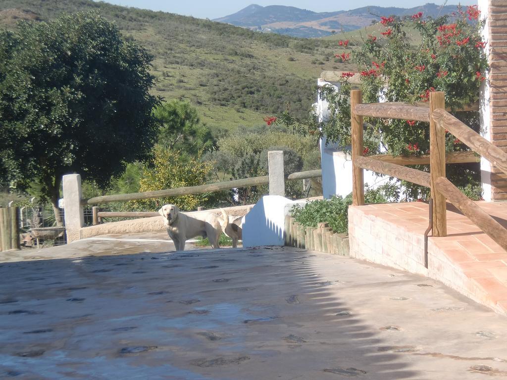 Horta Da Quinta Pension Mértola Buitenkant foto
